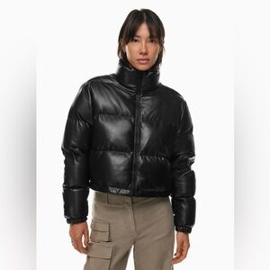 Aritzia Vista Puffer